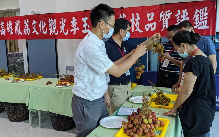 高雄鳳荔品質評鑑競賽得獎者出爐 尤俊、張清海鳳荔稱王