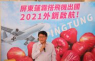 屏東縣長：佳冬鄉優質蓮霧空運外銷香港