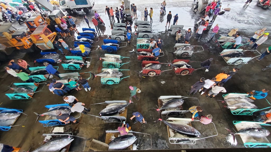 疫情微解封 東港魚市黑鮪魚宅配買氣回溫