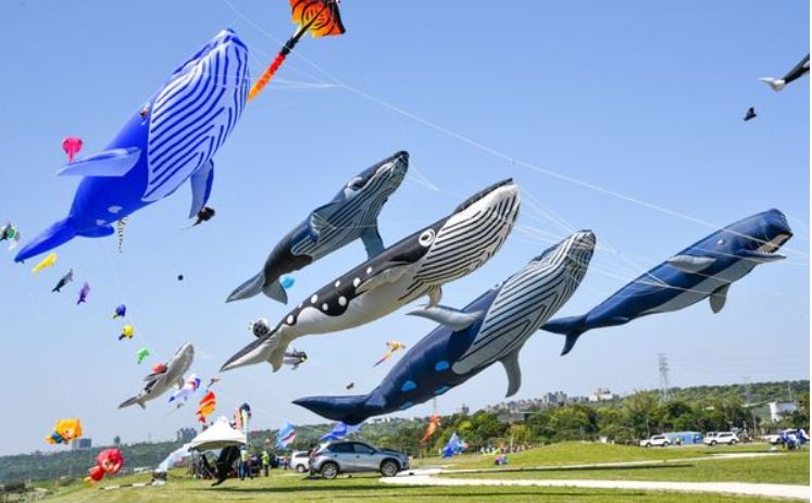 桃園國際風箏節春季「鯨奇之旅」盛大登場起飛