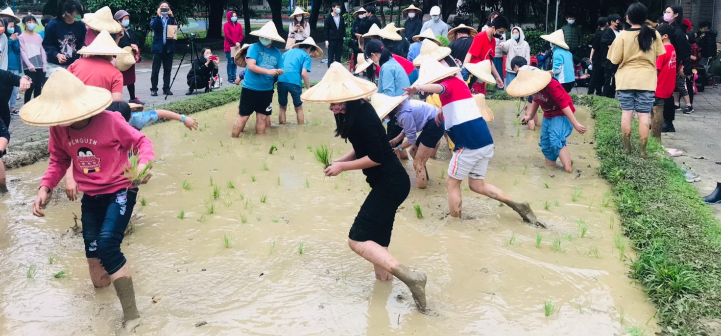 推動食米教育 農糧署北區分署歡迎國小作伙來