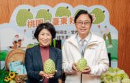 桃園與台東攜手行銷鳳梨釋迦 張善政鼓勵踴躍訂購