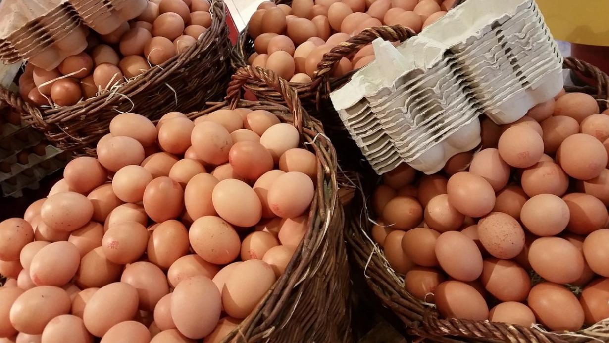 公平會嚴查聯合哄抬蛋價 祭「一億元」檢舉獎金