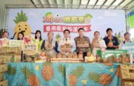 台南鳳梨再銷日本 黃偉哲盼台南優質農產進軍國際