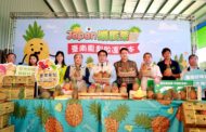 台南鳳梨外銷進逼3千噸 黃金比例口感擄獲日學者味蕾