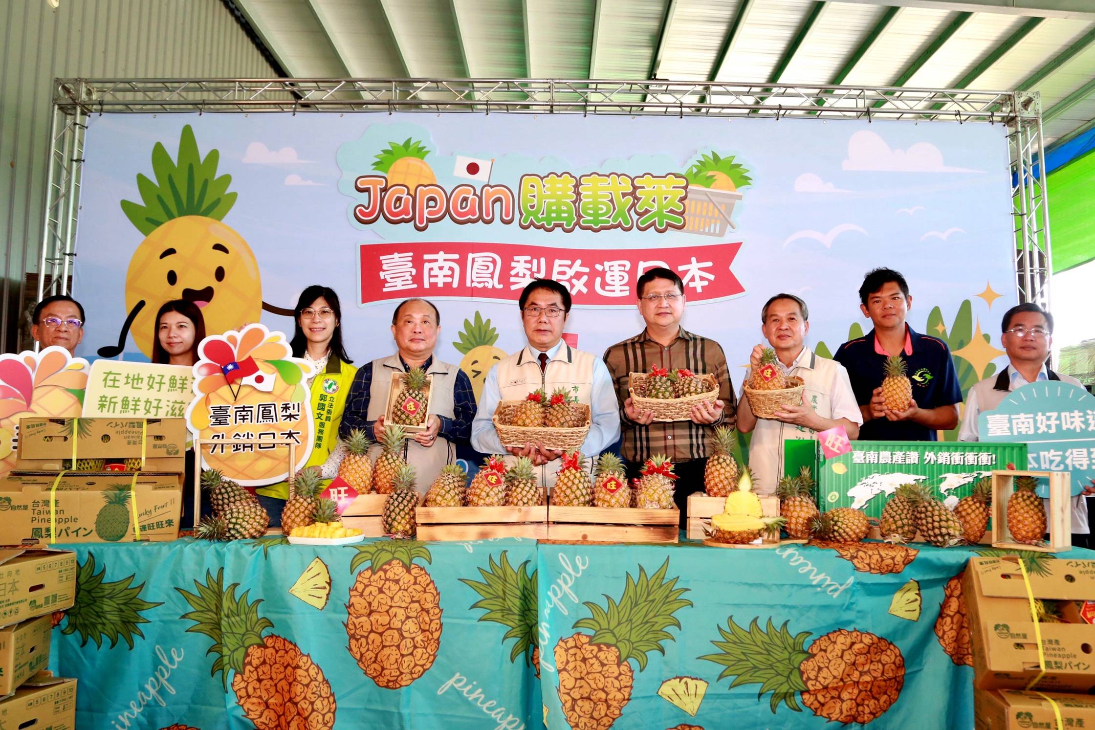 台南鳳梨外銷進逼3千噸 黃金比例口感擄獲日學者味蕾