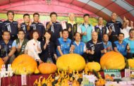 苗栗造橋南瓜季開鑼 人潮湧入場面熱鬧