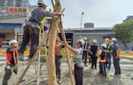 高雄輕軌年底成圓 沿線補植雨豆樹增加綠蔭