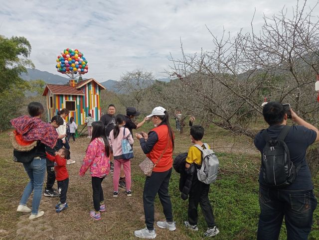 觀光藝文季「六龜解憂、寶來賞梅」活動盛大登場