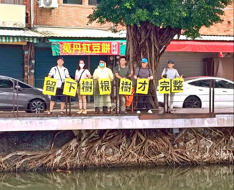 蓮池潭木棧道不拓寬了「天空之城樹」獲保留