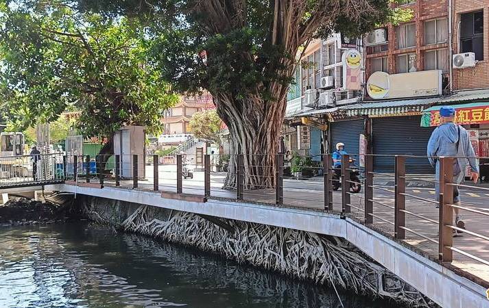 高雄蓮池潭天空之城樹景 5月中走入歷史