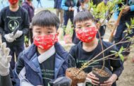新北響應防治沙漠化與乾旱日 邀全民種樹共築綠色家園