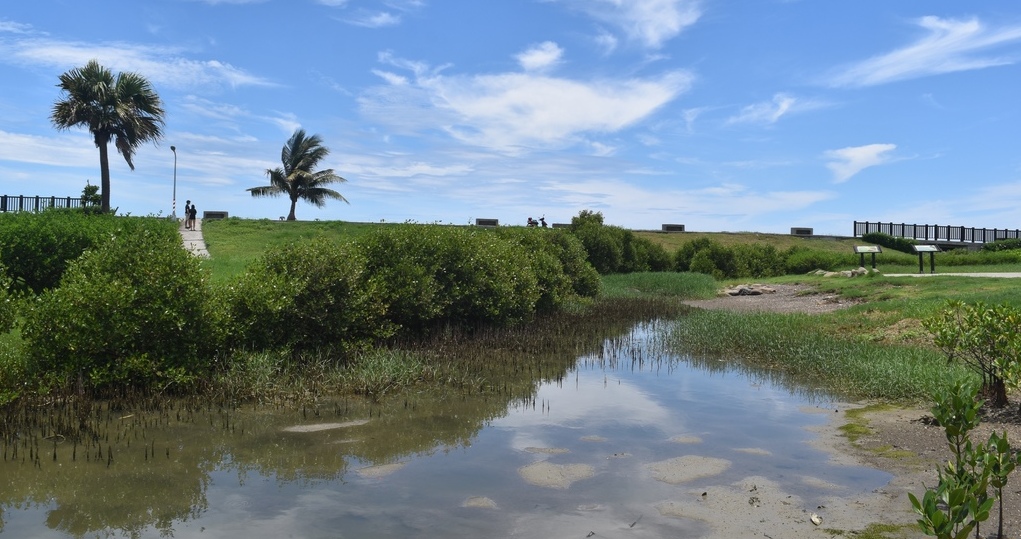 高雄林園海洋濕地公園國慶嘉年華11日登場