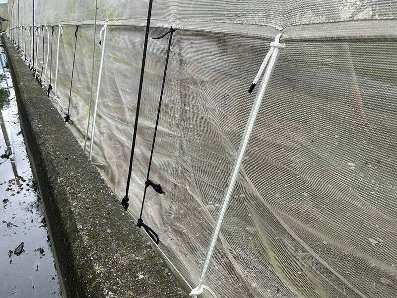 鳳凰颱風逼近 高雄農改場籲農民加強防颱措施