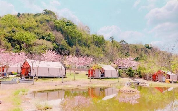 高雄合法露營場27個全國最多推《春遊高雄露營三部曲》