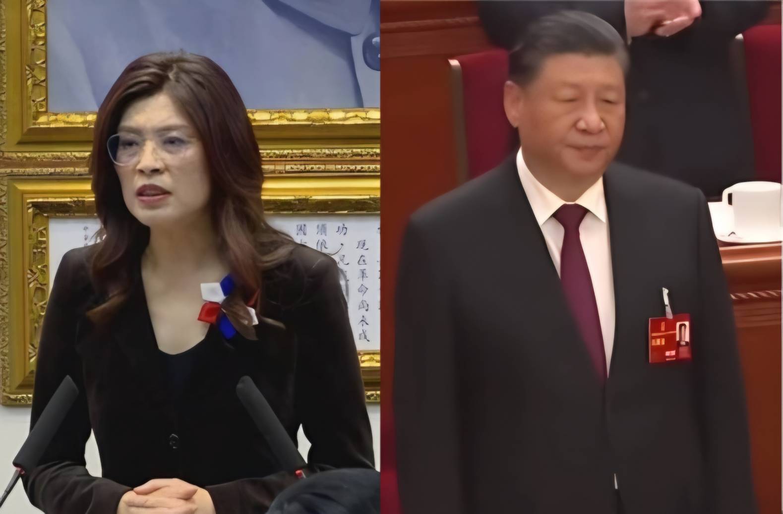 習近平會見鄭麗文4月7日登場 你的看法如何？