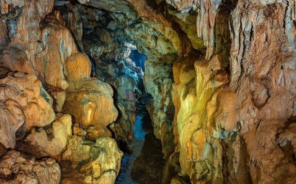 5月雨季將至 壽山國家自然公園停止探洞活動申請