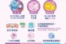 竹市9月起補助長輩健保自付額 免申請、不排富減輕長輩負擔
